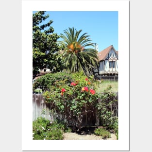 Climbing Rose Bush and Palm Tree Solvang California Posters and Art